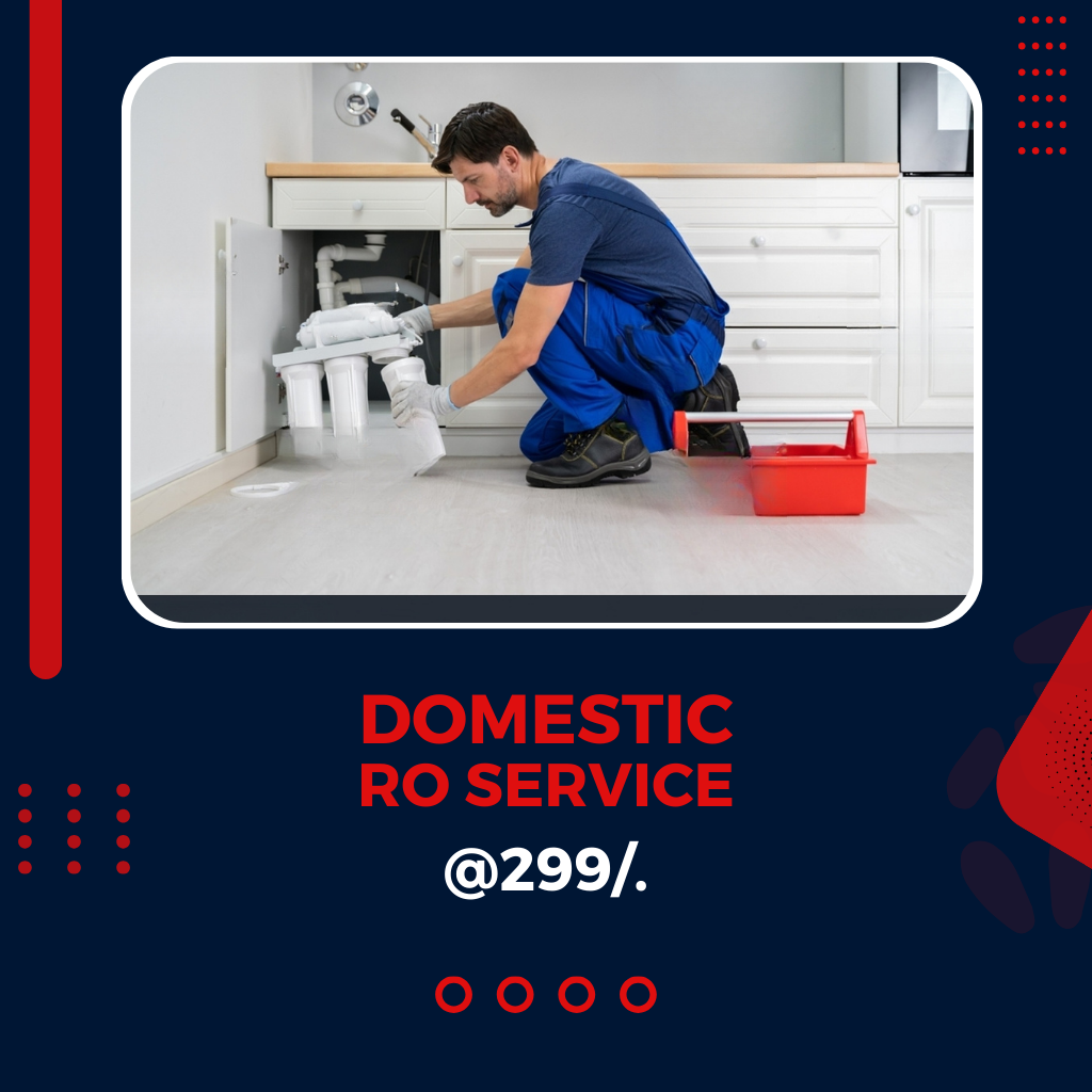 Domestic RO Service